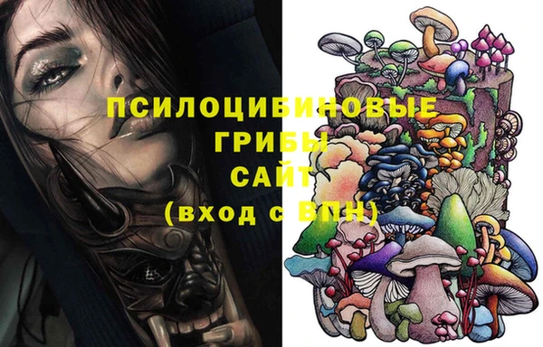 гидра Алзамай
