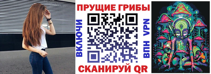 ссылка на мегу ССЫЛКА  Райчихинск  Галлюциногенные грибы мицелий 